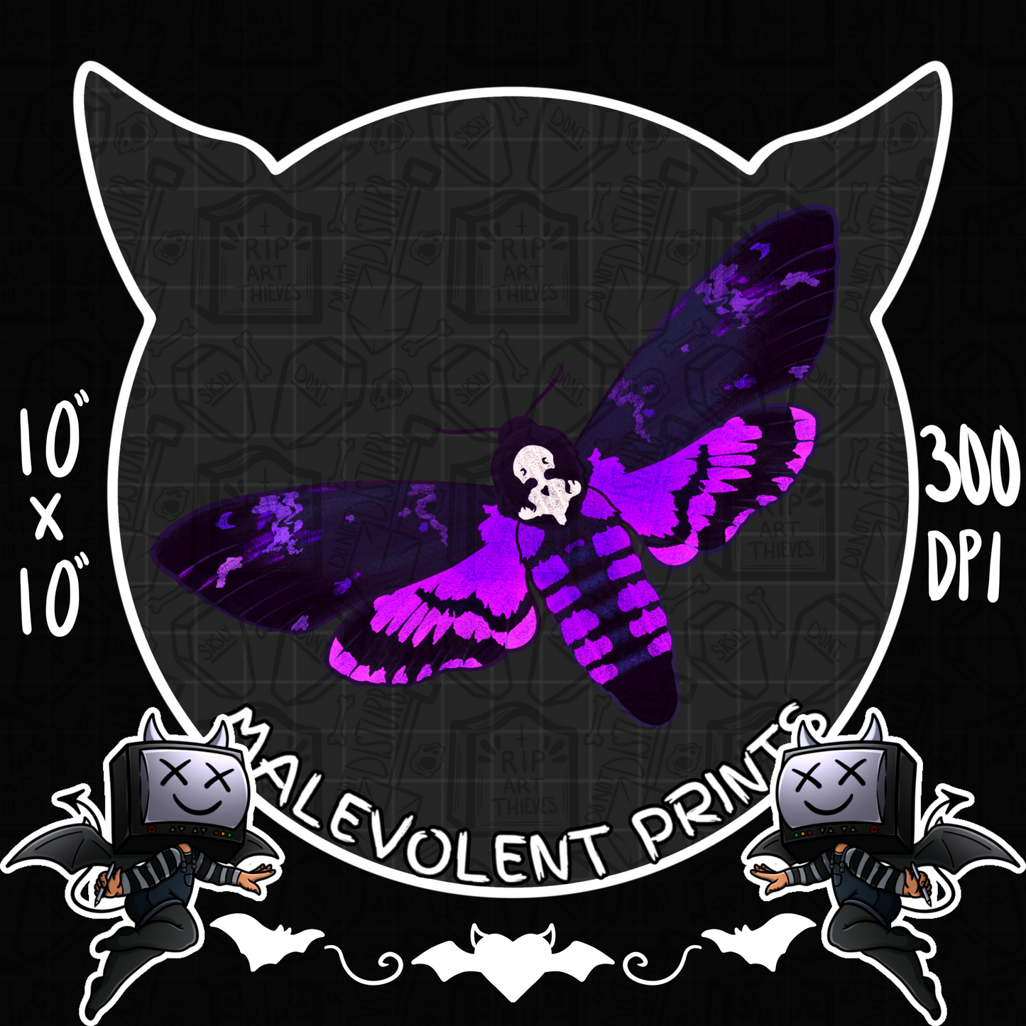 Death’s-Head Hawkmoth (Uncommon) // PNG