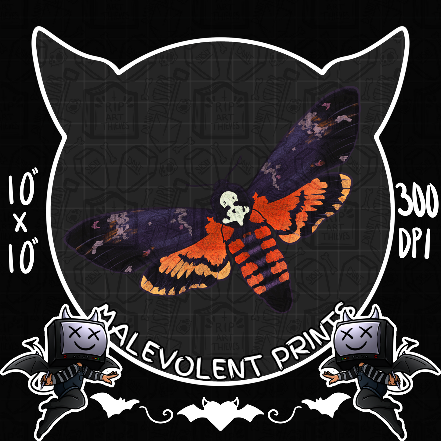 Death’s-Head Hawkmoth (Uncommon) // PNG