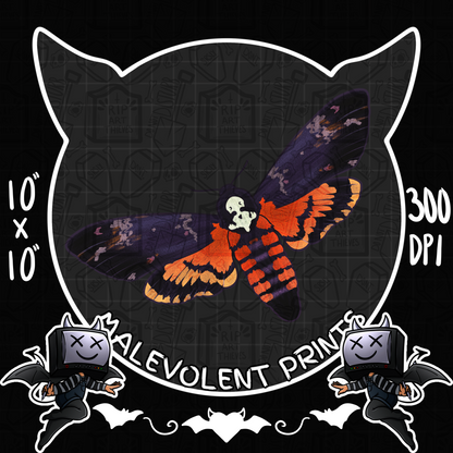 Death’s-Head Hawkmoth (Uncommon) // PNG