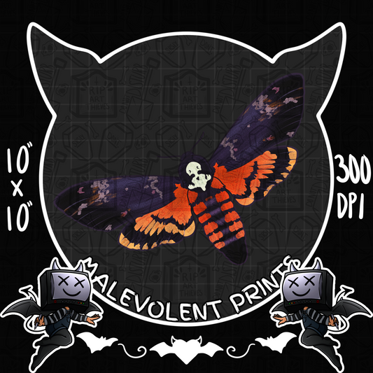 Death’s-Head Hawkmoth (Uncommon) // PNG